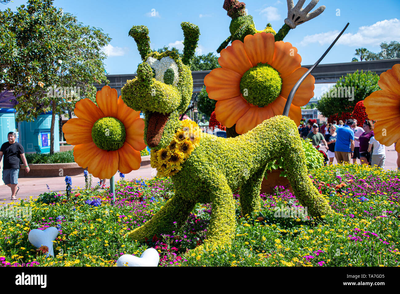ORLANDO, USA. 29TH APRIL 2019: Pluto topiary display figure on display at Disney World Stock Photo