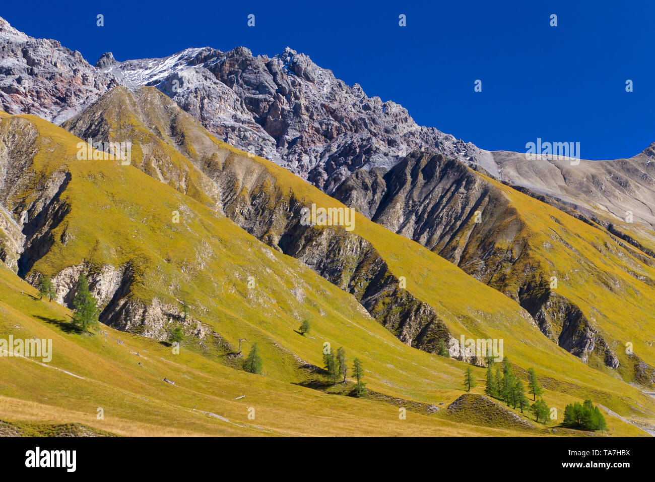 View of Piz Fier, Val Trupchun, Swiss National Park, Graubuenden, Switzerland Stock Photo