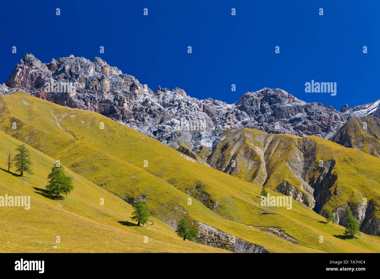 View of Piz Fier, Val Trupchun, Swiss National Park, Graubuenden, Switzerland Stock Photo