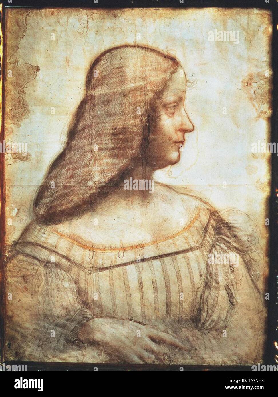 Leonardo Da Vinci vintage artwork Stock Photo