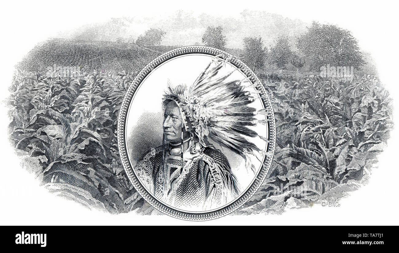 Historic stock certificate, detail, tobacco plantation and a Red Indian chief with headdress, The American Tobacco Company, ATC, 1965, New Jersey, USA, Historische Aktie,  Detail, Tabakplantage und Indianerhäuptling mit Federschmuck, The American Tobacco Company ATC, Tabakunternehmen, 1965,  New Jersey, USA Stock Photo