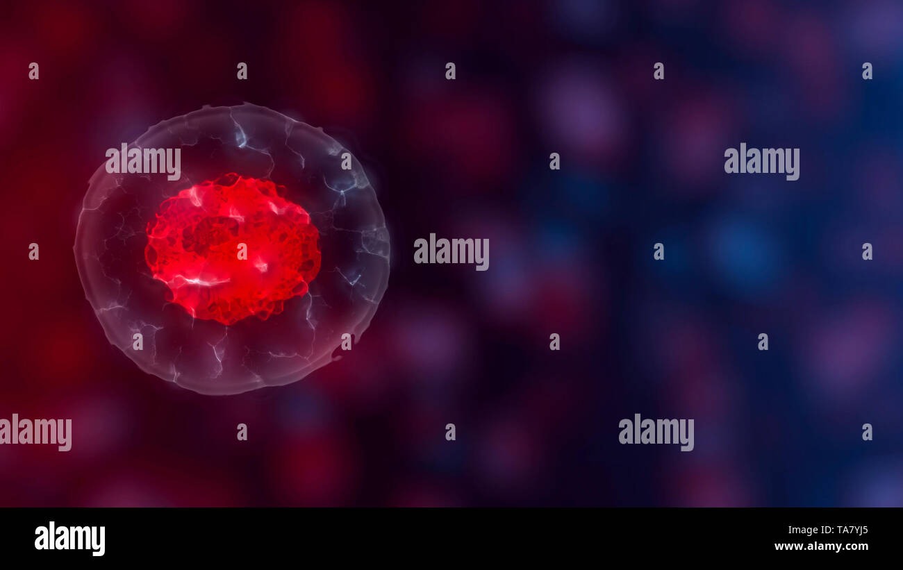 Embryonic stem cells or growth, rehabilitation and treatment of ...