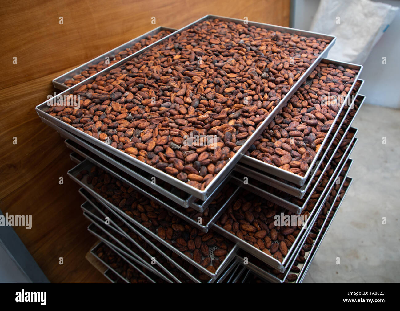 Dried cocoa beans in a factory, Sud-Comoé, Grand-Bassam, Ivory Coast Stock Photo