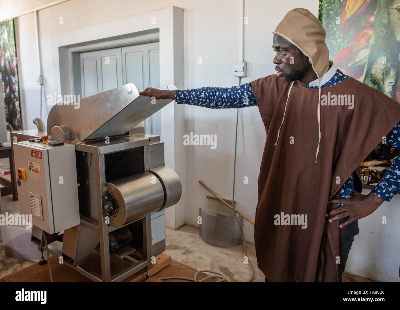 African man putting dried cocoa beans in a stone grinder, Sud-Comoé, Grand-Bassam, Ivory Coast Stock Photo