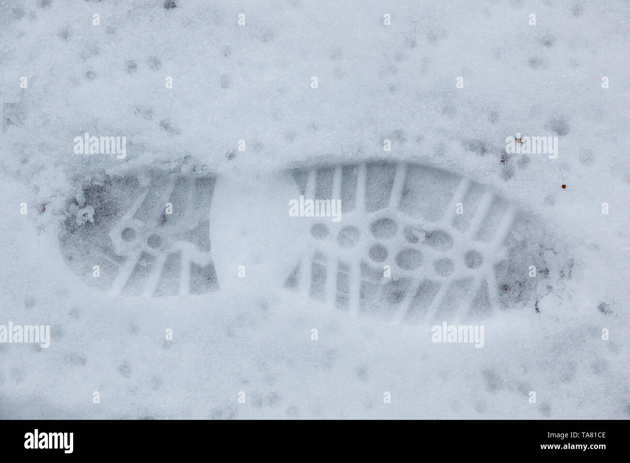 Foot print of a human shoe on the white snow Stock Photo
