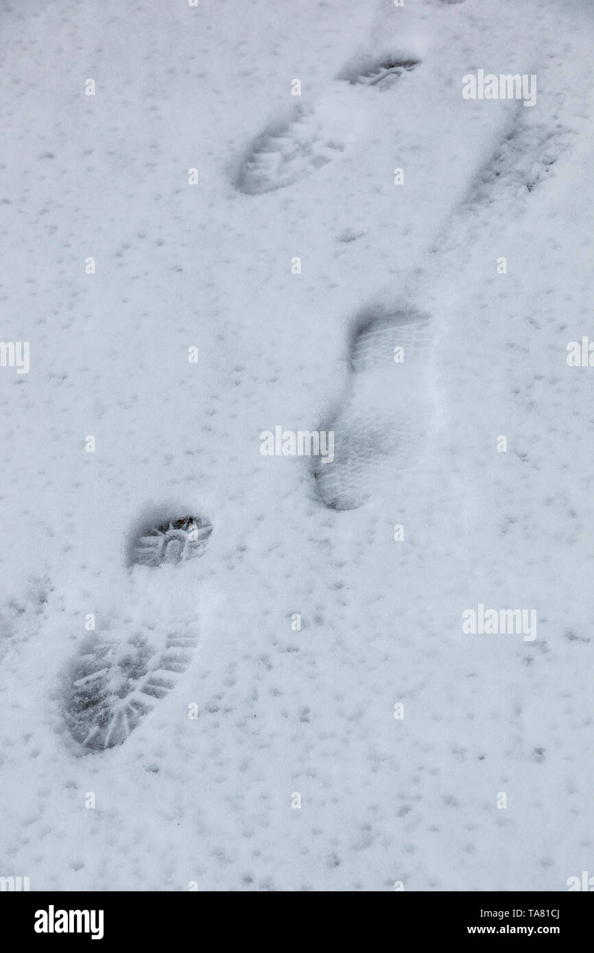 Foot prints of human shoes on the white snow Stock Photo
