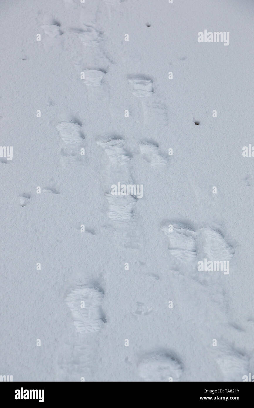 Human traces snow landscape hi-res stock photography and images - Alamy