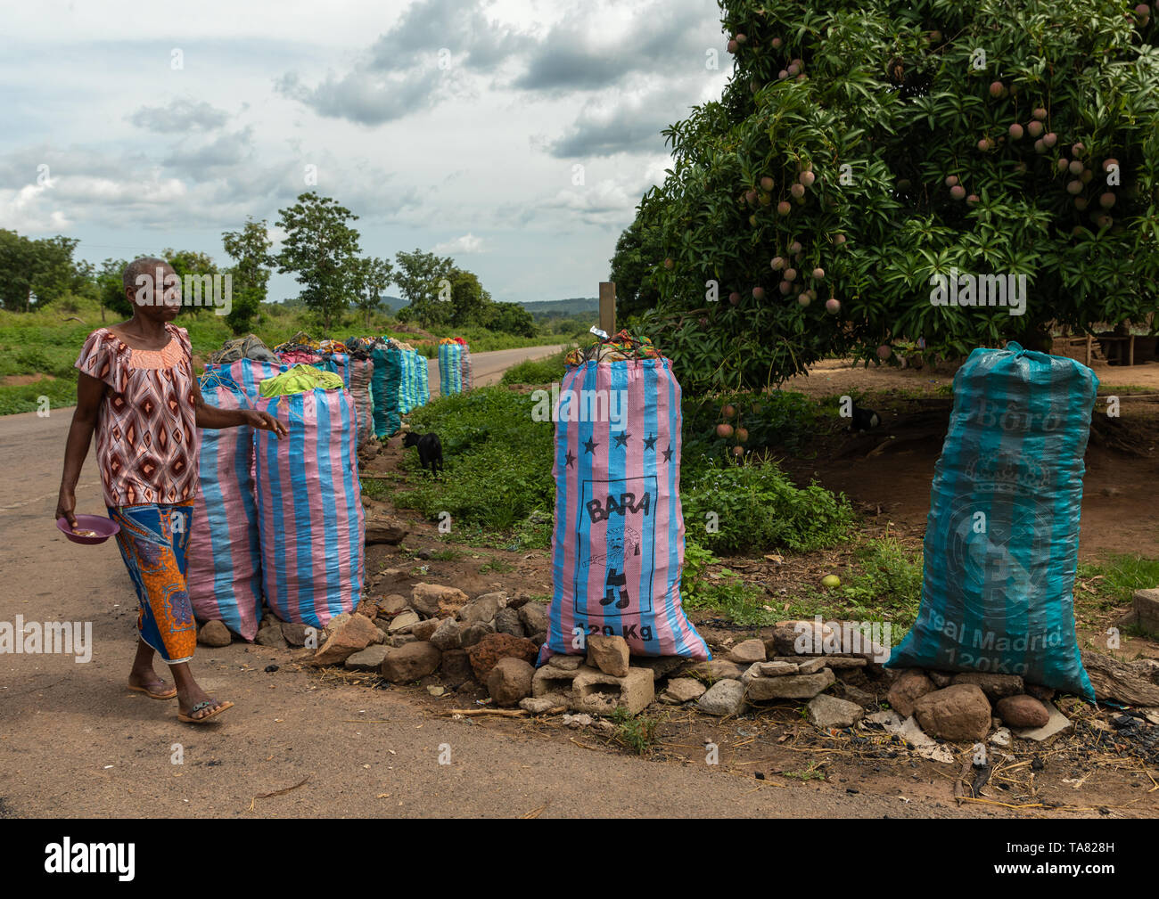 Coal for sale in big bags along the road, Bafing, Yo, Ivory Coast Stock