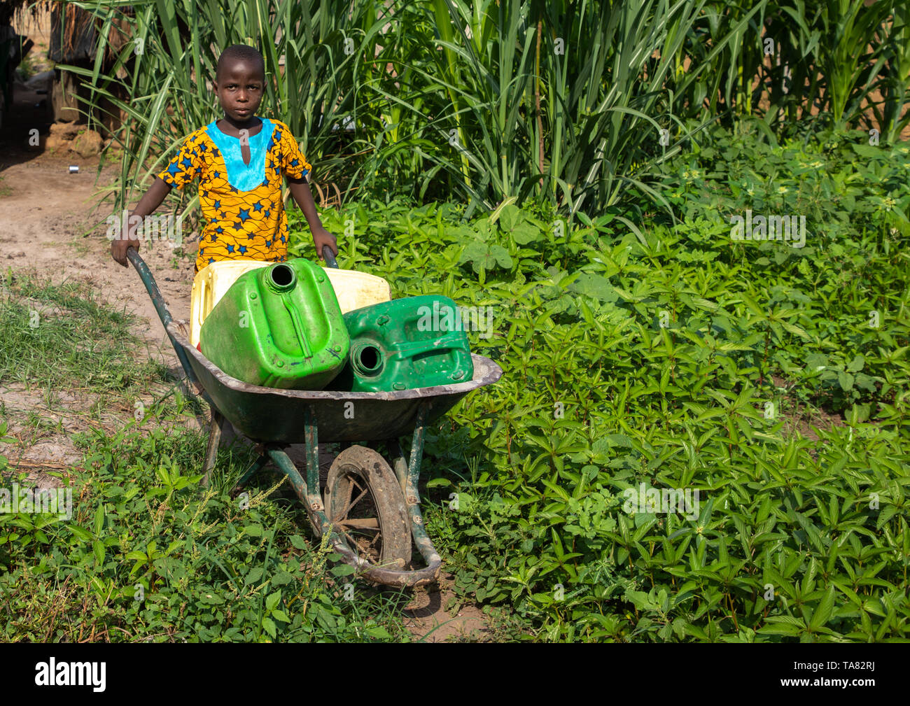 Wheelbarrow carry online