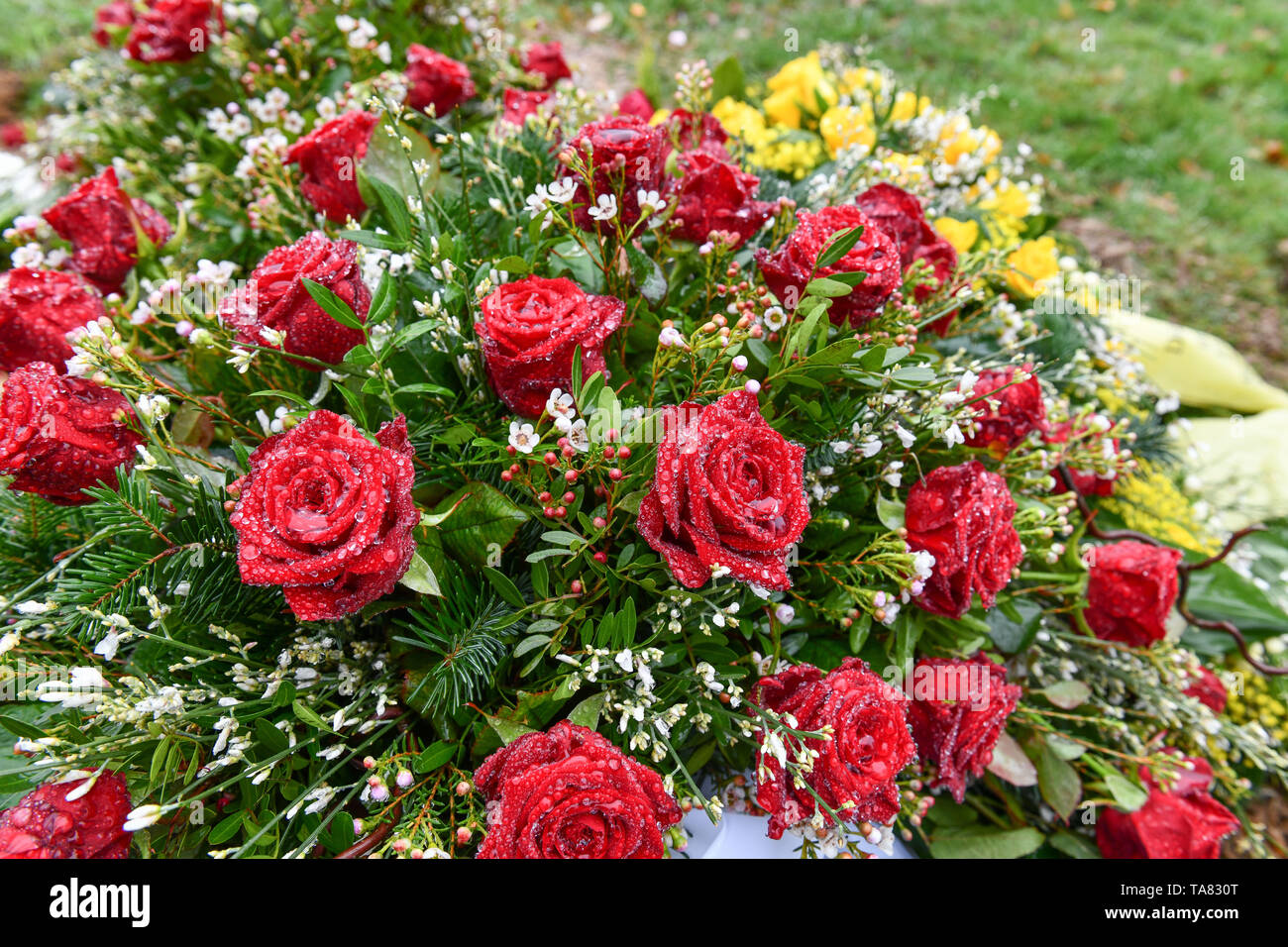 Roses, grave, Germany, Rosen, Grab, Deutschland Stock Photo - Alamy