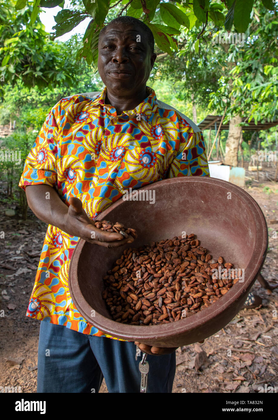 African man with dried cocoa beans, Région des Lacs, Yamoussoukro, Ivory Coast Stock Photo