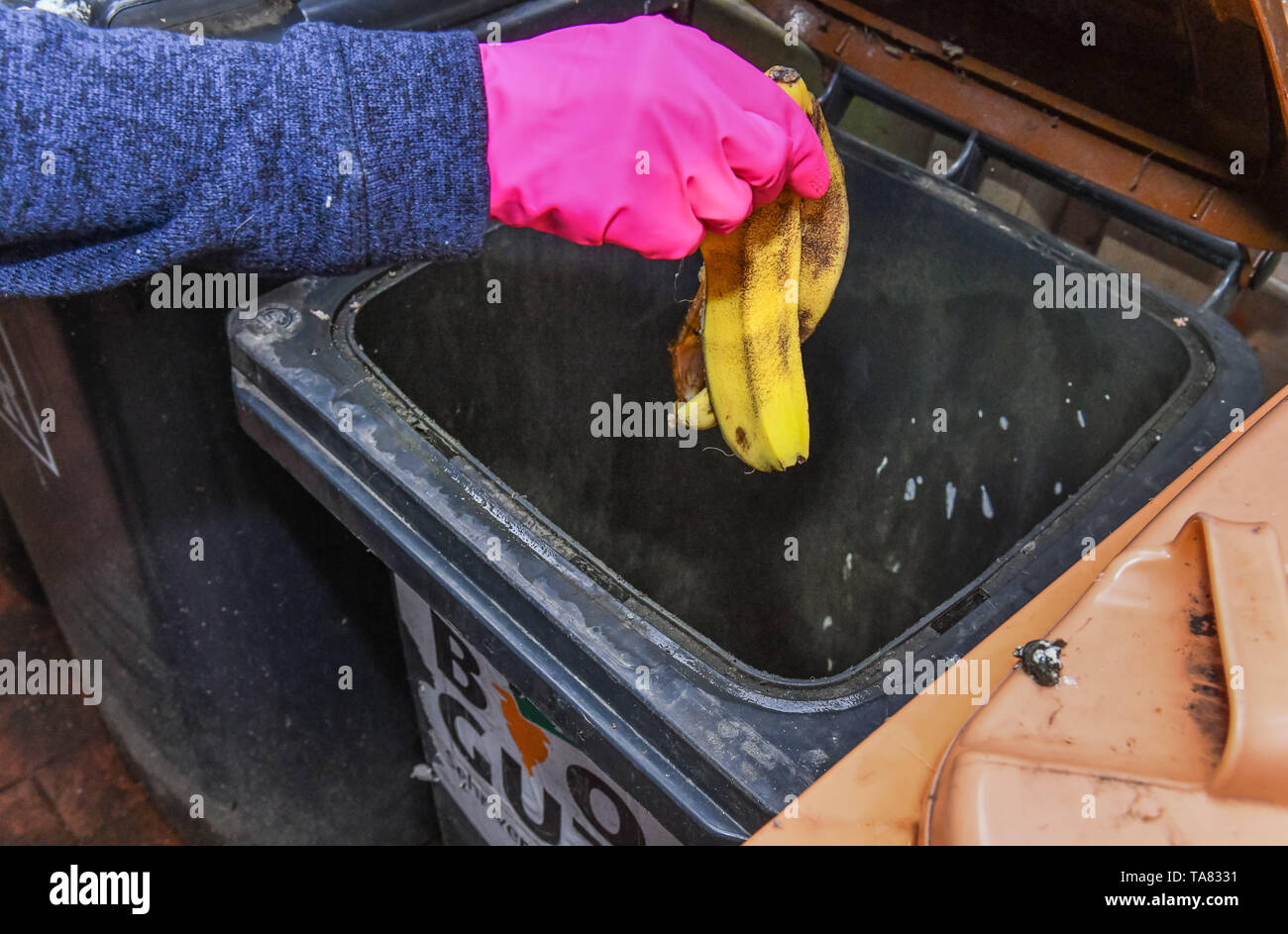 Biowell, bio-waste container, Berlin, Germany, Biogut, Biotonne,  Deutschland Stock Photo - Alamy