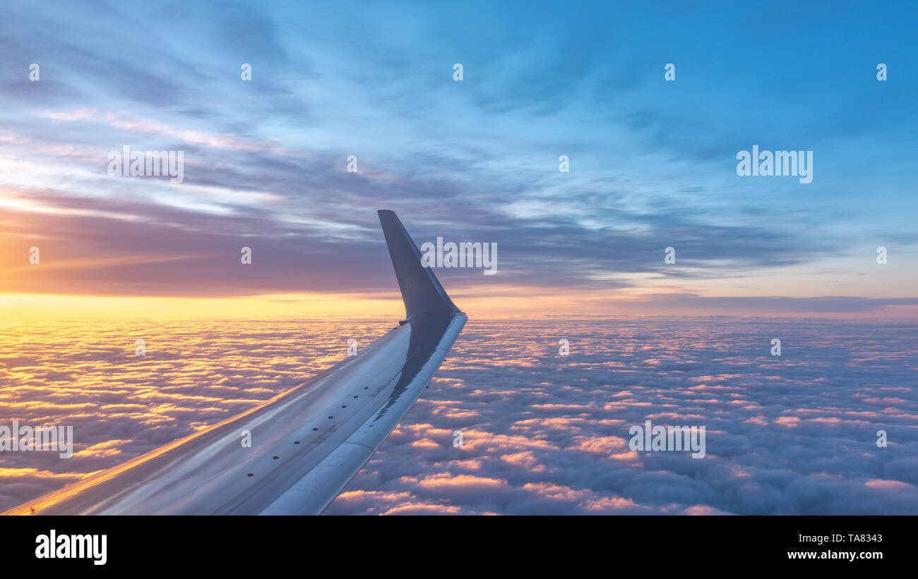 Beautiful Salmon Dawn And The Wing Of An Airplane Above The Clouds View Of The Dawn In The Clouds From The Plane Airplane Flying Above Clouds At Pin Stock Photo Alamy