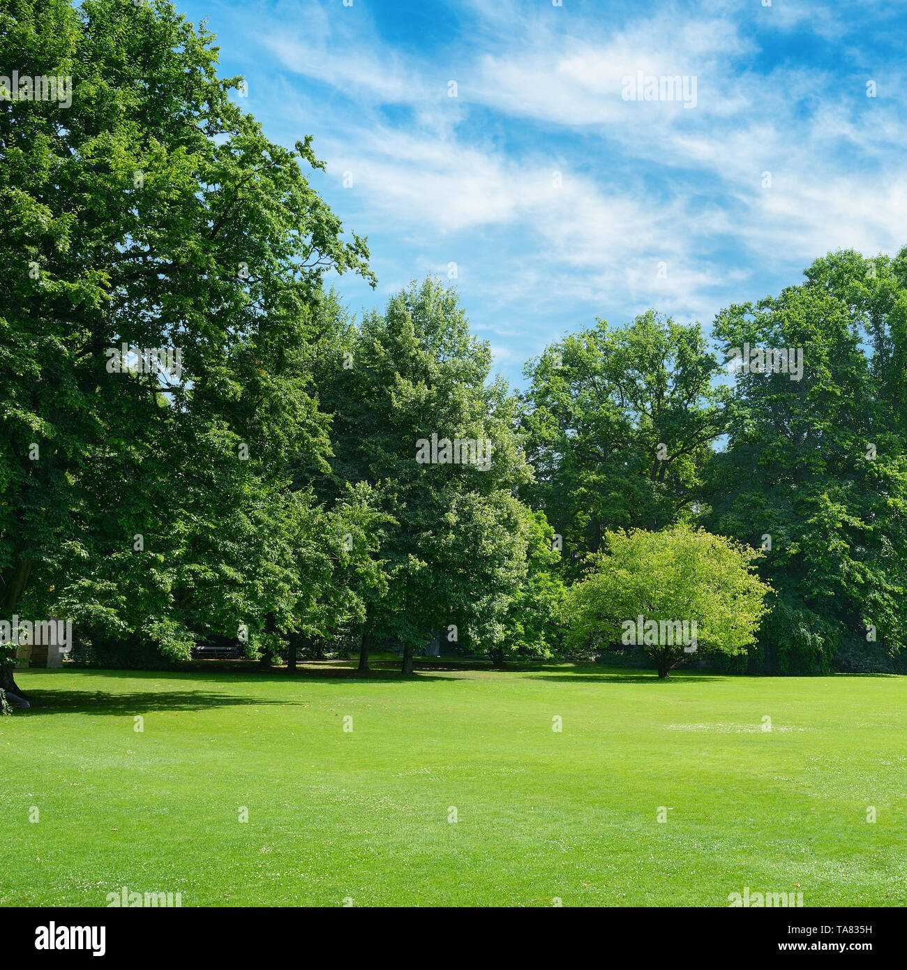 Lawn park green grass hi-res stock photography and images - Alamy