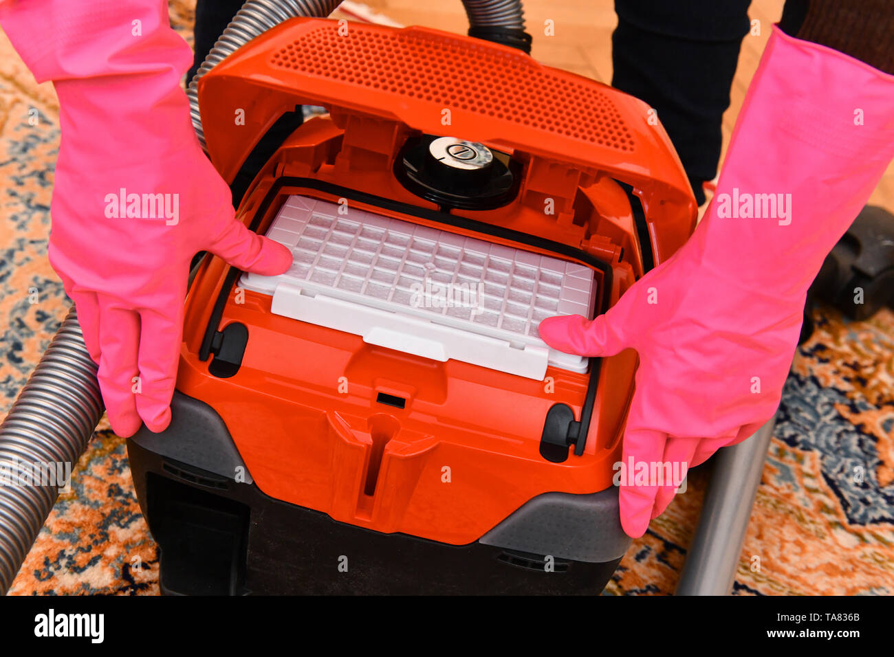 Vacuum cleaner, exchange dust filter, Staubsauger, Austausch Staubfilter Stock Photo