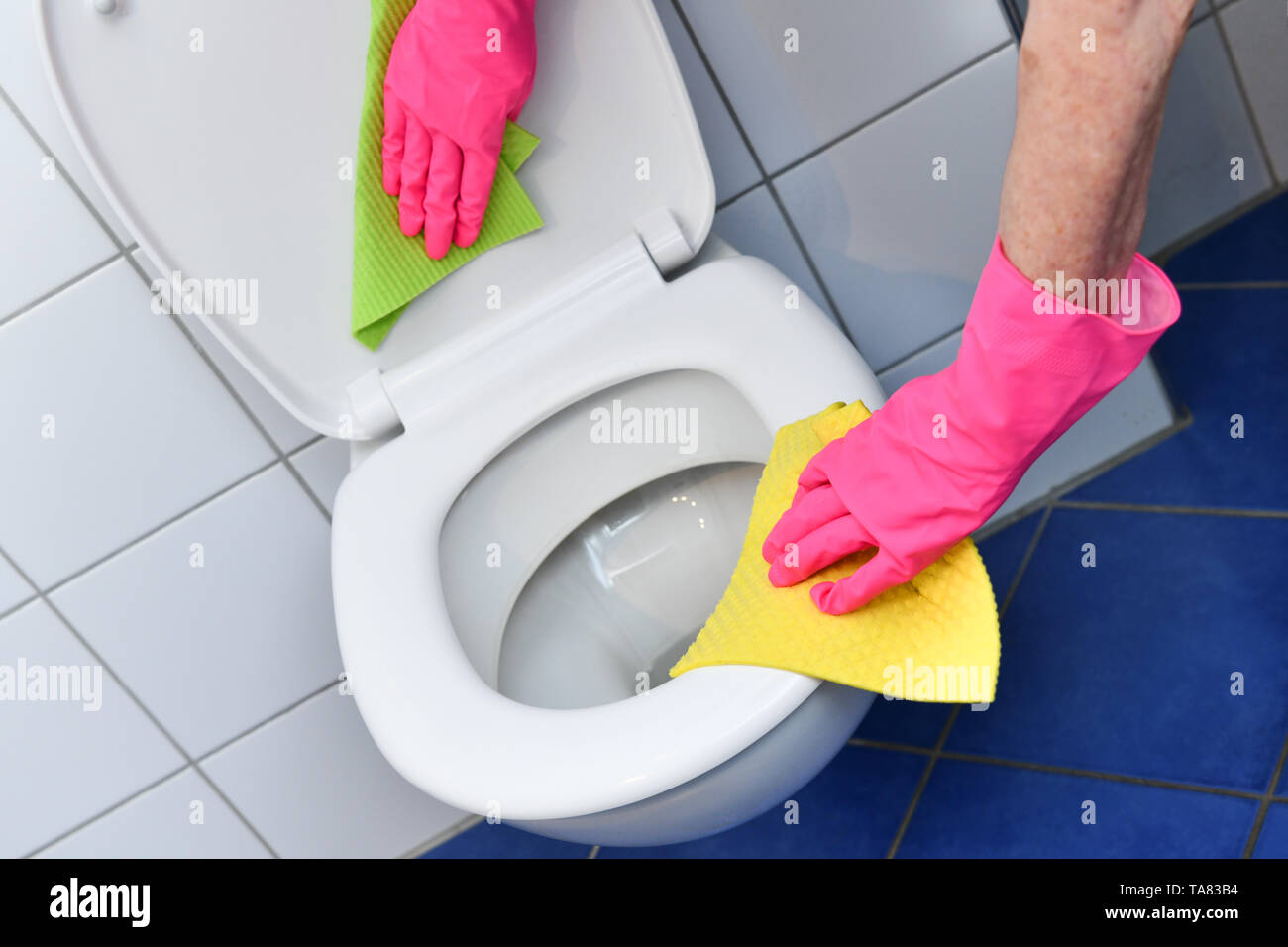 Cleaning, bathroom, toilet seat, Reinigung, Badezimmer, Toilettensitz Stock Photo