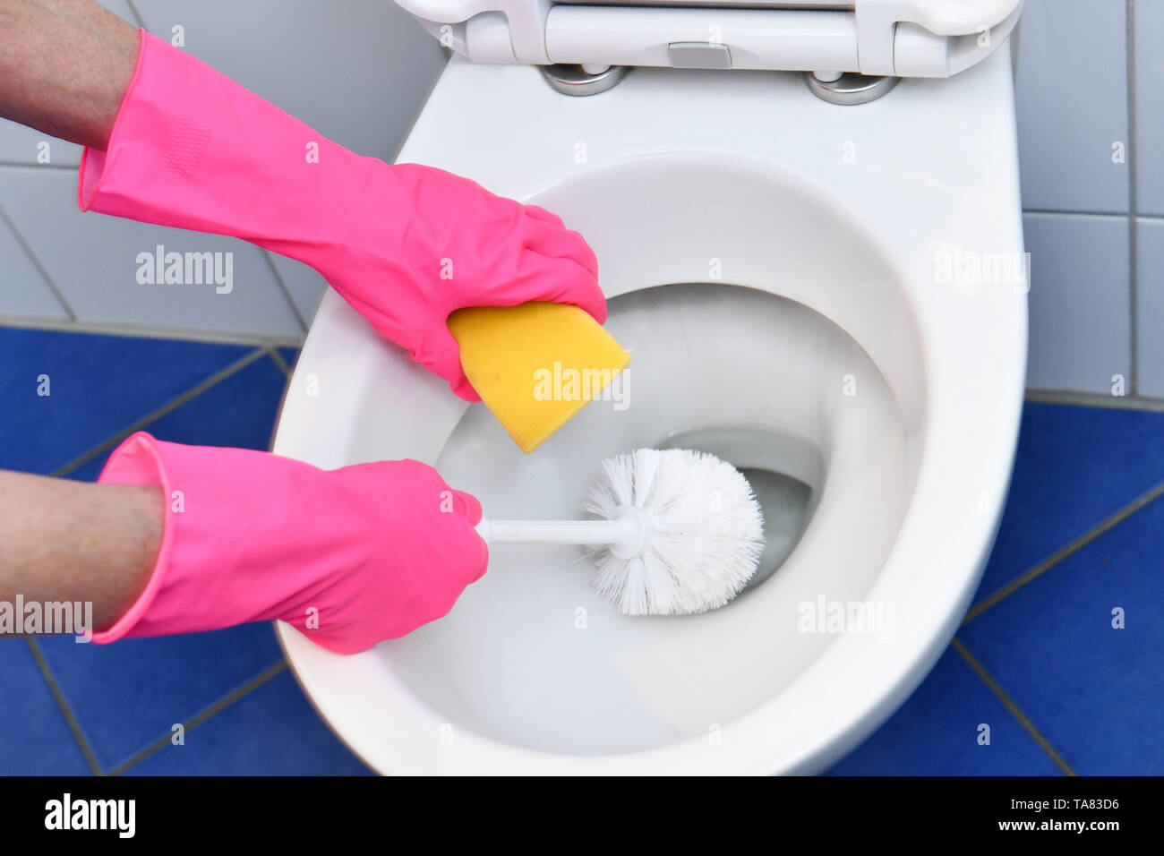 Cleaning, bathroom, toilet, Reinigung, Badezimmer, Toilette Stock Photo