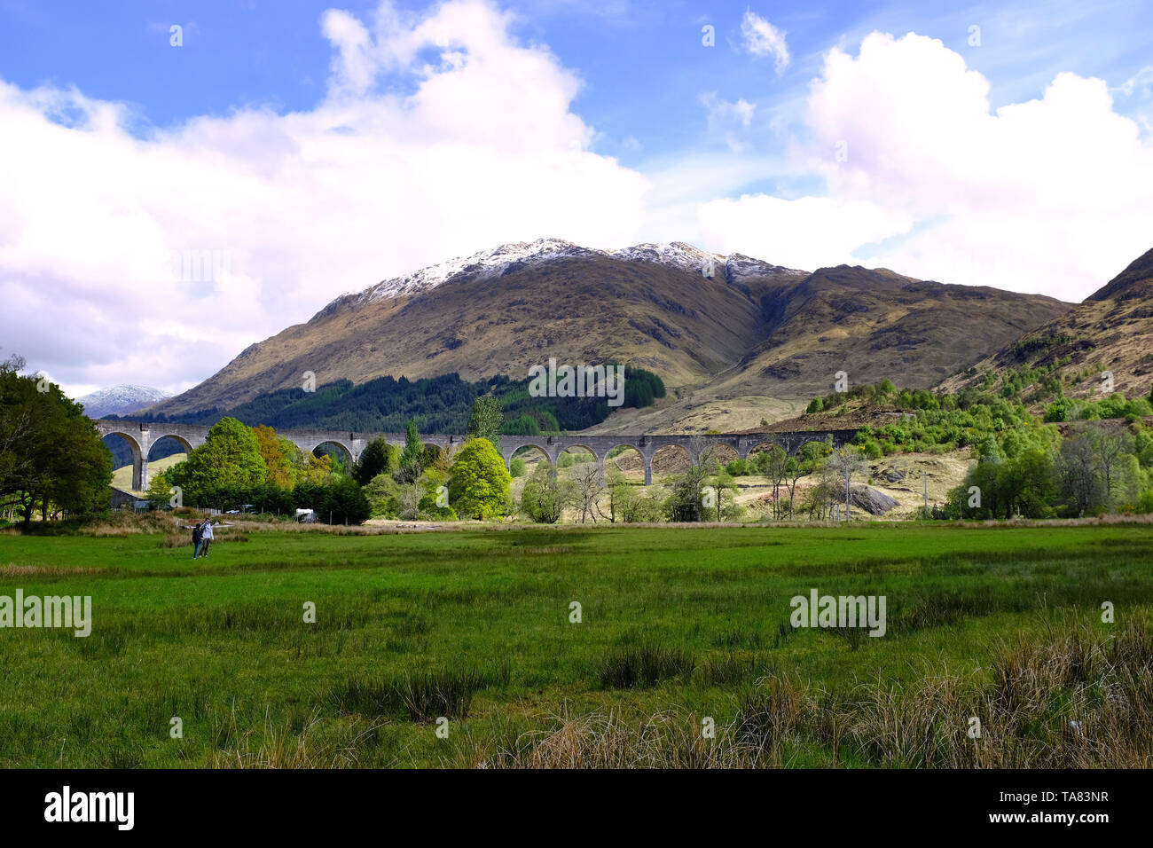 Glenfinnan Viaduct (seen in Harry Potter films) Scotland May 8th - 19th. Trip across Scotland Foto Samantha Zucchi Insidefoto Stock Photo