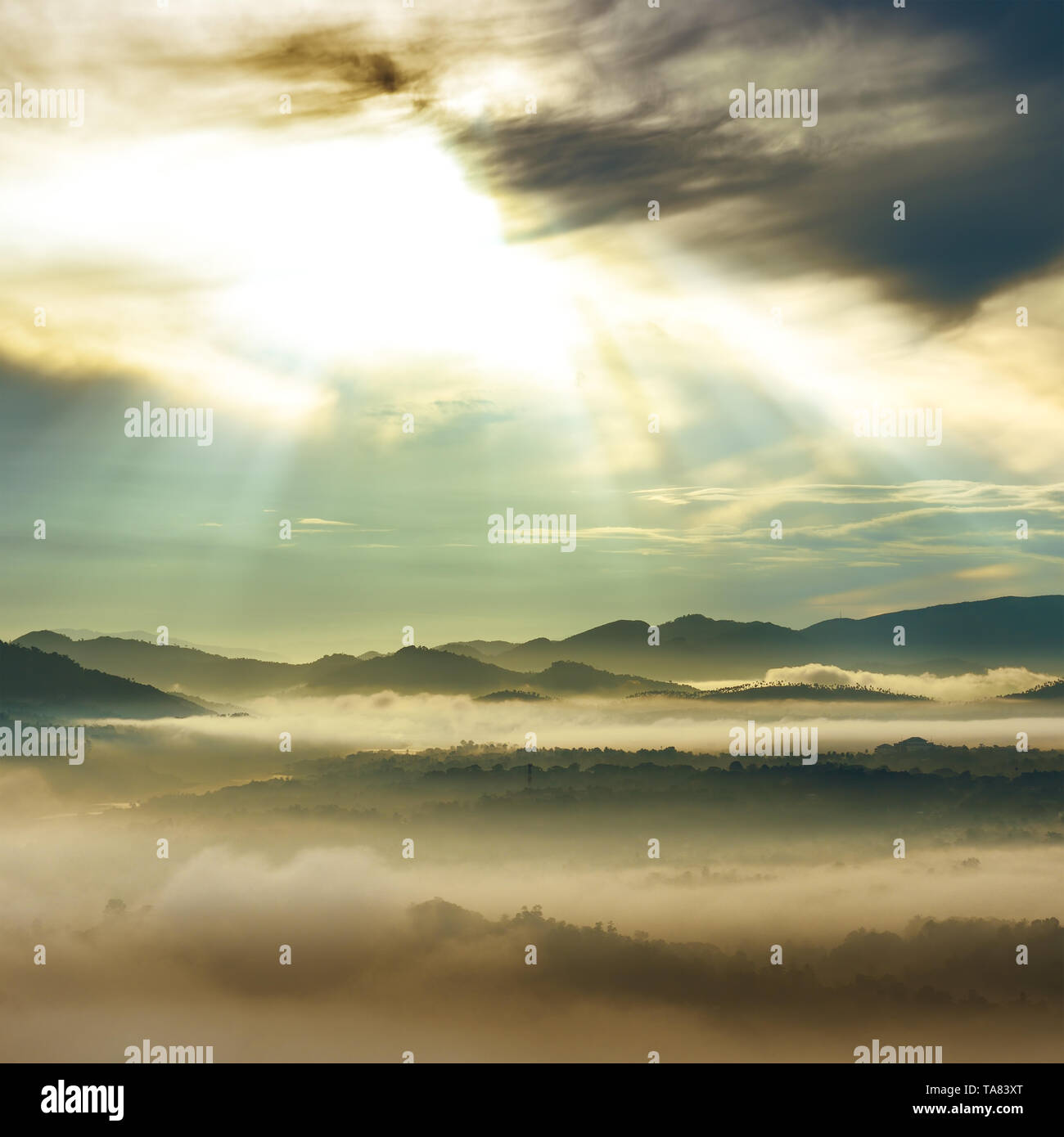 Thick fog at sunrise hi-res stock photography and images - Alamy