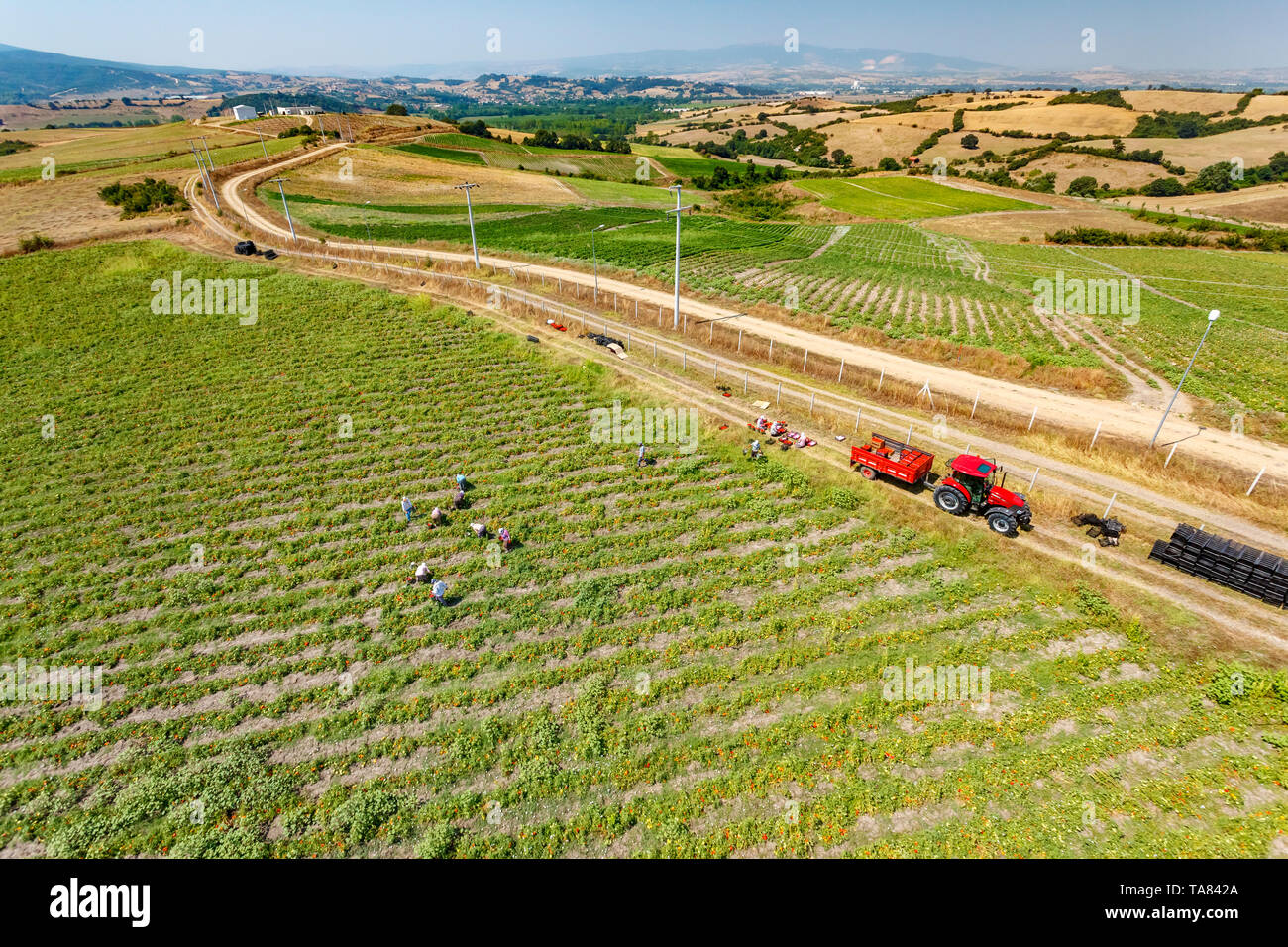 Organic farm, aerial, Marmara region, Turkey Stock Photo