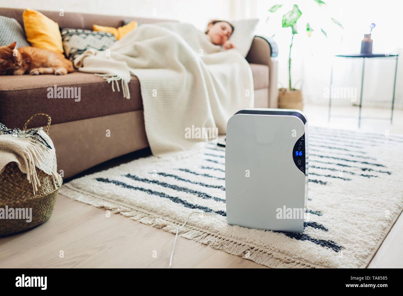 Dehumidifier with touch panel, humidity indicator, uv lamp, air ionizer, water container works at home while woman sleeping. Air dryer Stock Photo