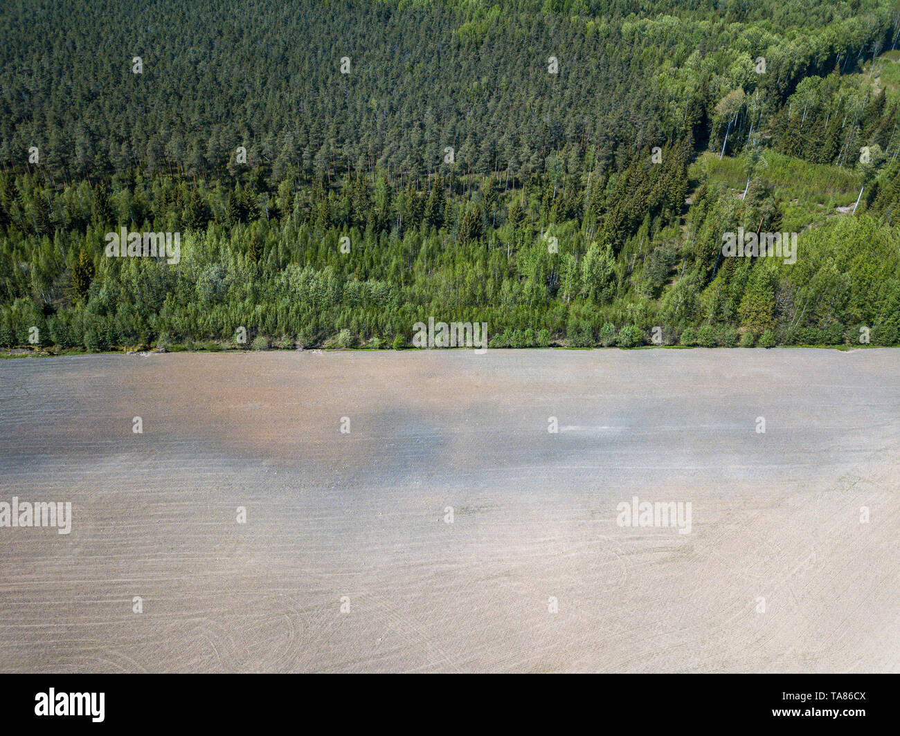 aerial view of countryside fields and forests in green summer day ...