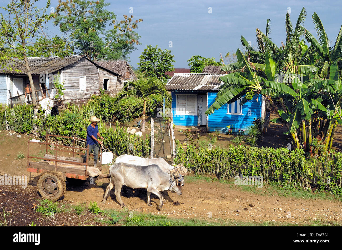 Rural houses in cuba hi-res stock photography and images - Alamy