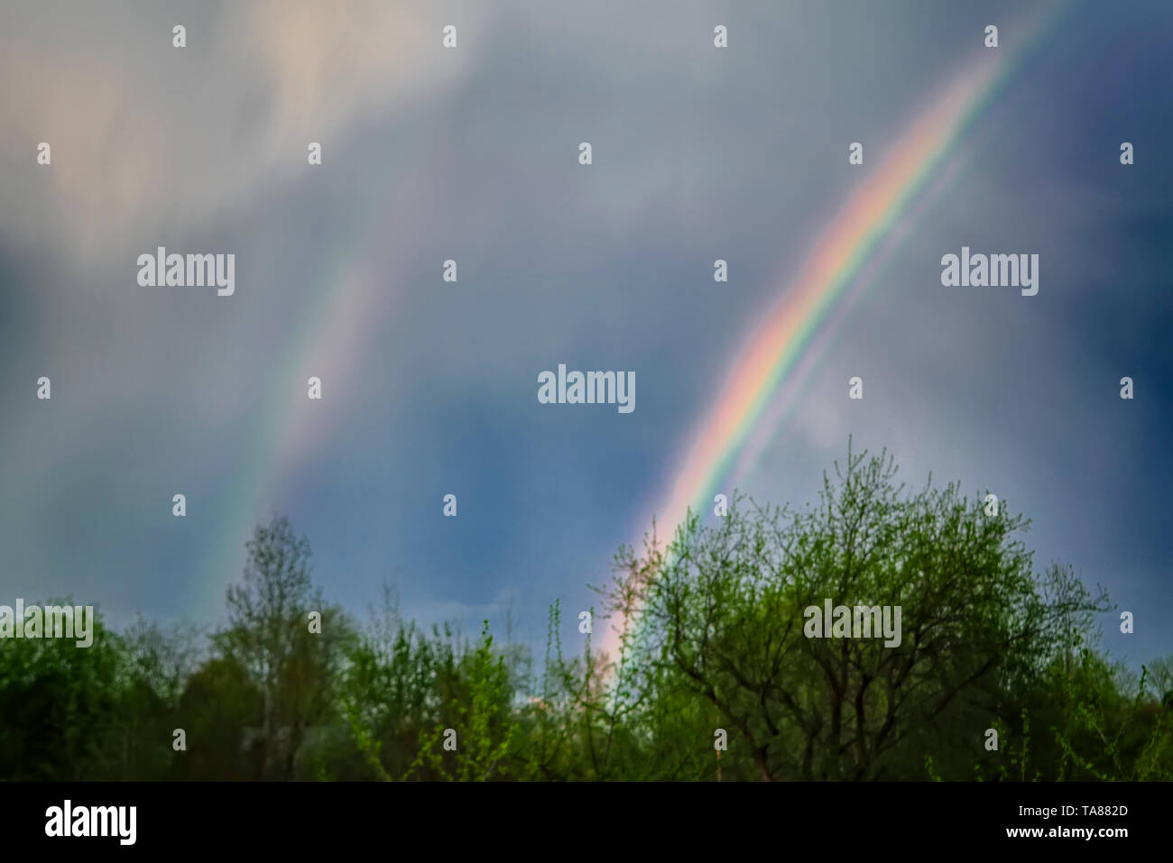 Double rainbow in the sky over the forest. Stock Photo