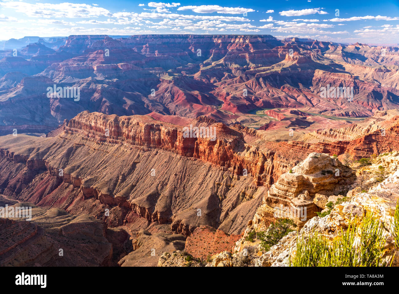 Grand canyon united states Stock Photo