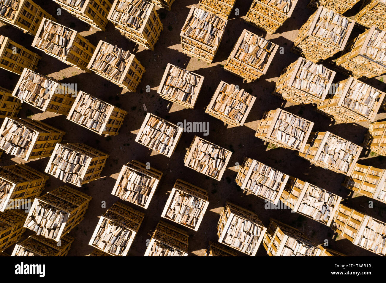 Rows of firewood stacked on pallets seen from straight above. Stock Photo