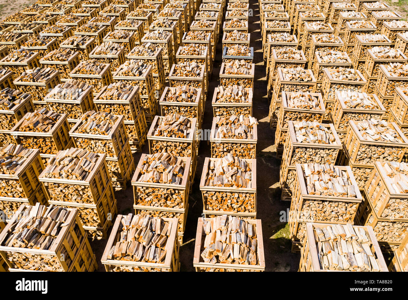 Rows of firewood stacked on pallets seen from above Stock Photo