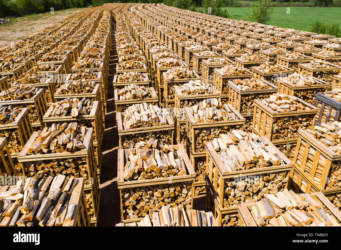 Rows of firewood stacked on pallets ready for transport. Part of surrounding landscape visible. Stock Photo