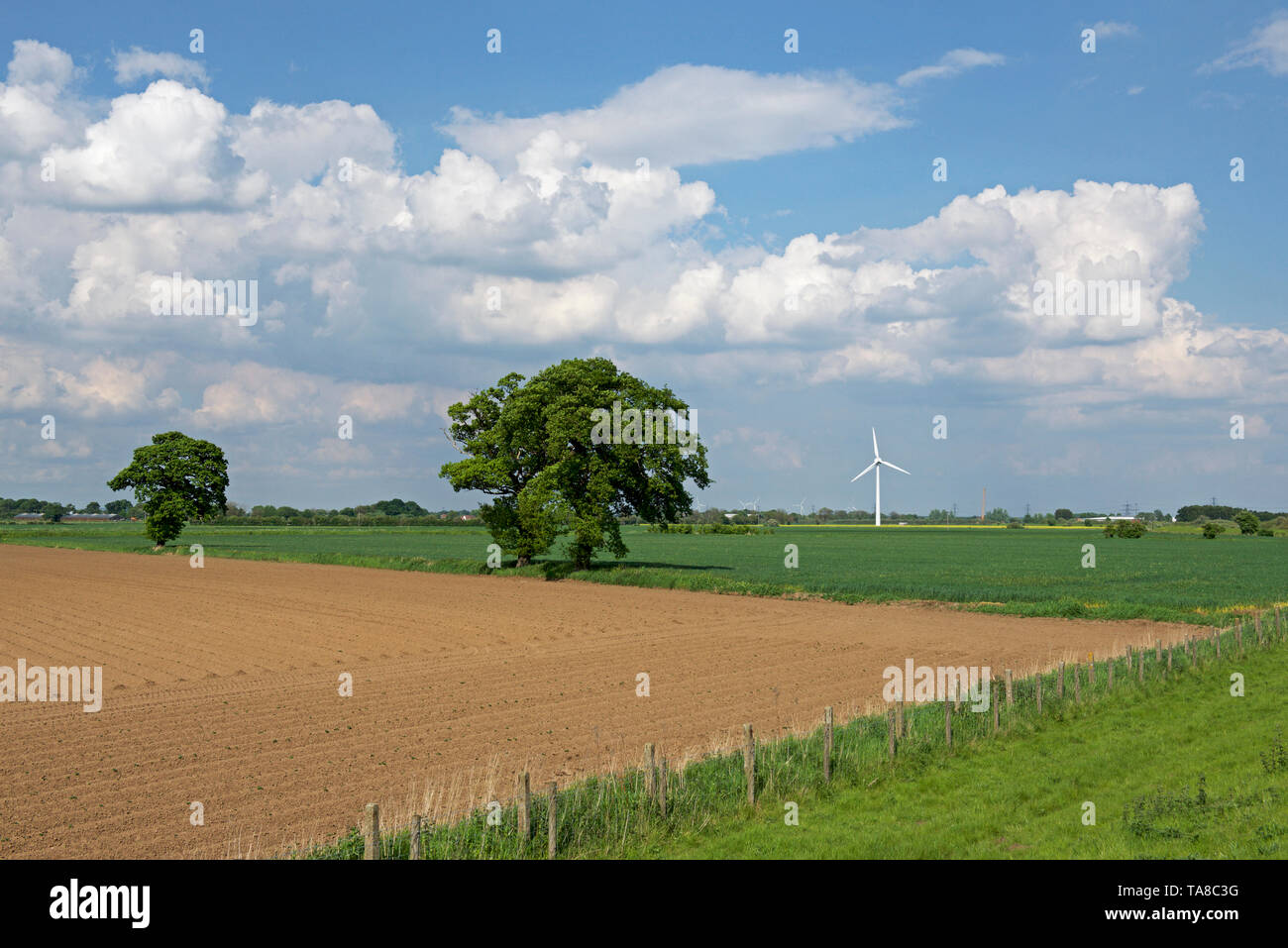 Agricultural land and a wind turbine at Barmby on the Marsh, East