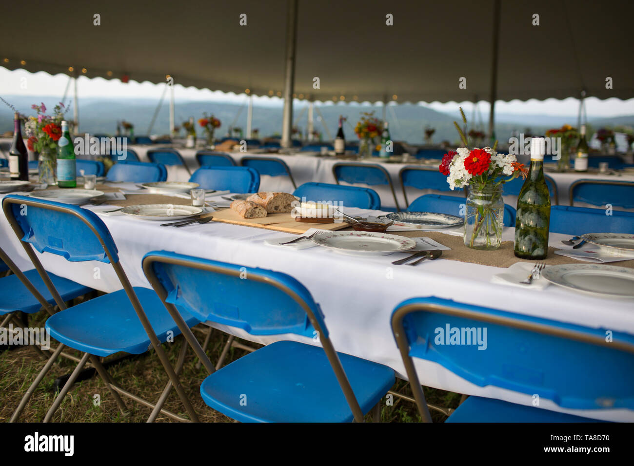Party table and chair set deals