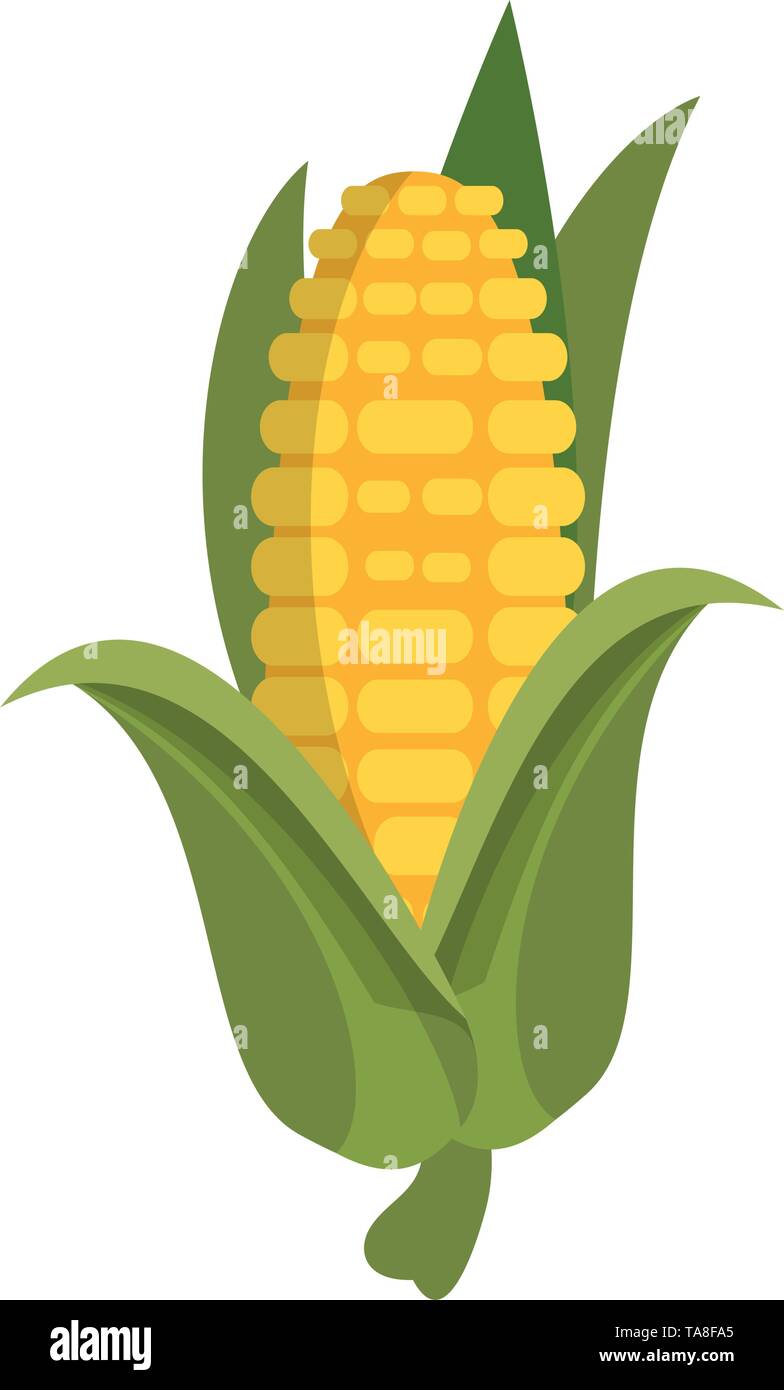 Corn fresh vegetable cartoon isolated Stock Vector Image & Art - Alamy