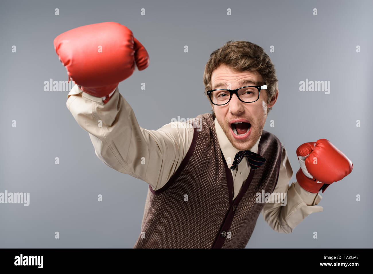 funny man in glasses and boxing gloves screaming on grey background