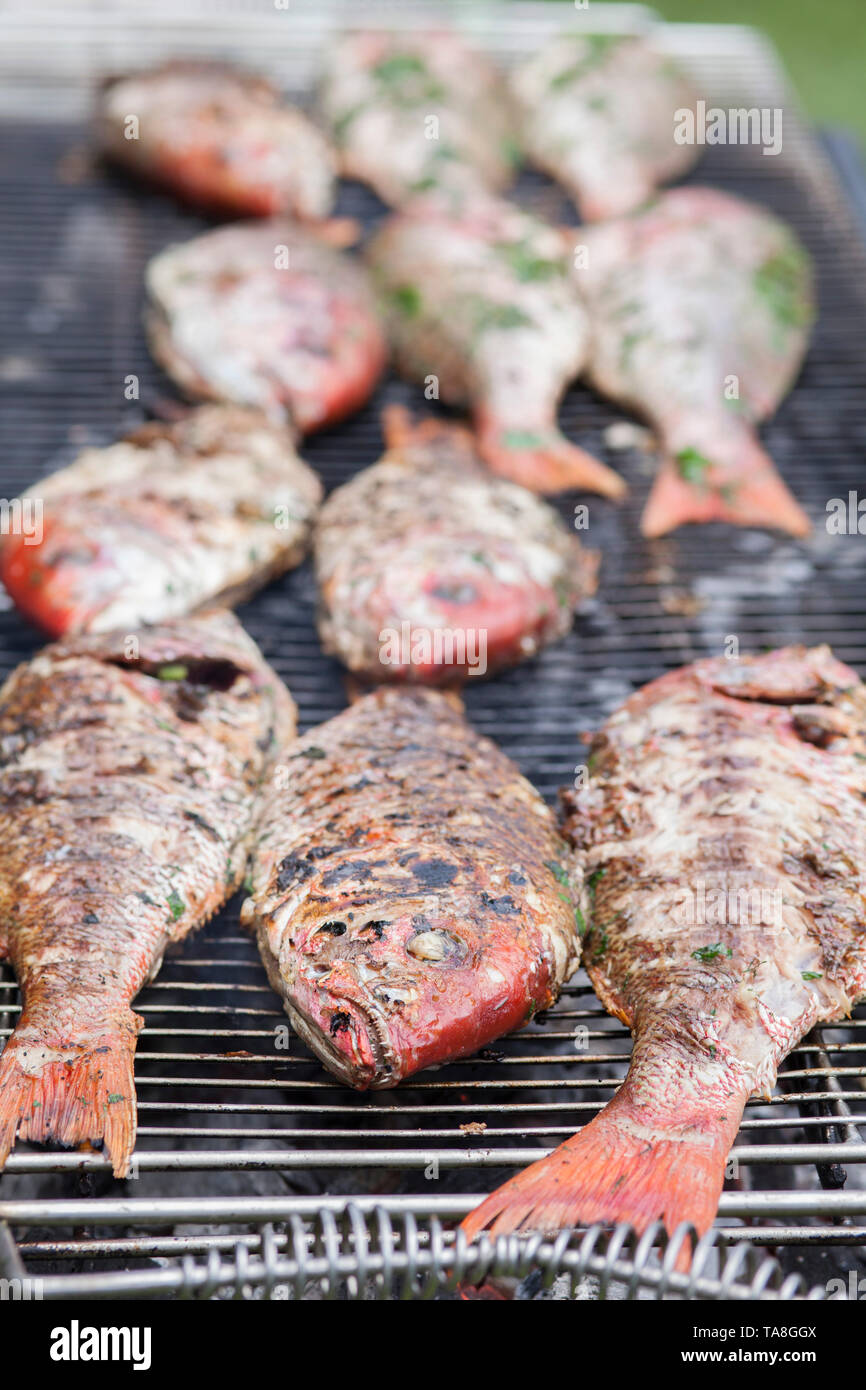 Large Fish on Outdoor Grill Stock Photo