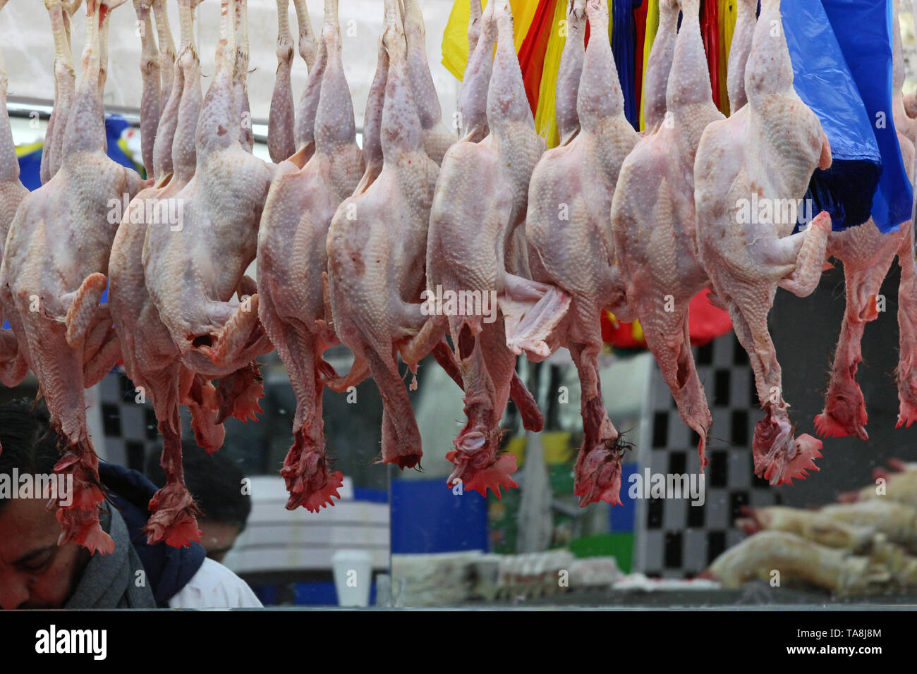 Plucked chickens on butchers display in Brixton, London Stock Photo