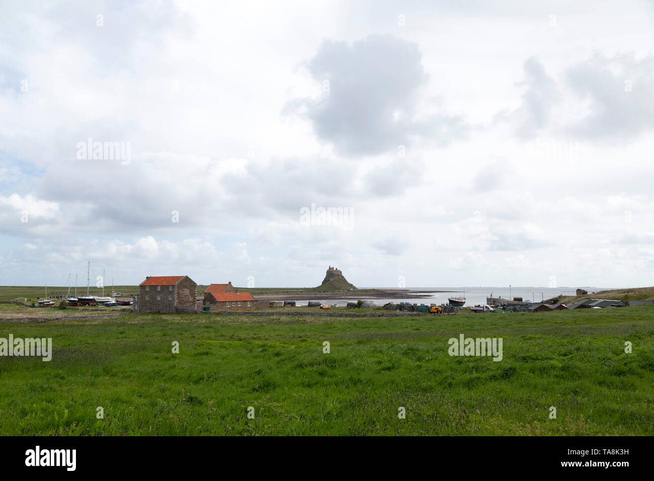 Cottages On Lindisfarne Castle Built Onto Beblowe Crag On