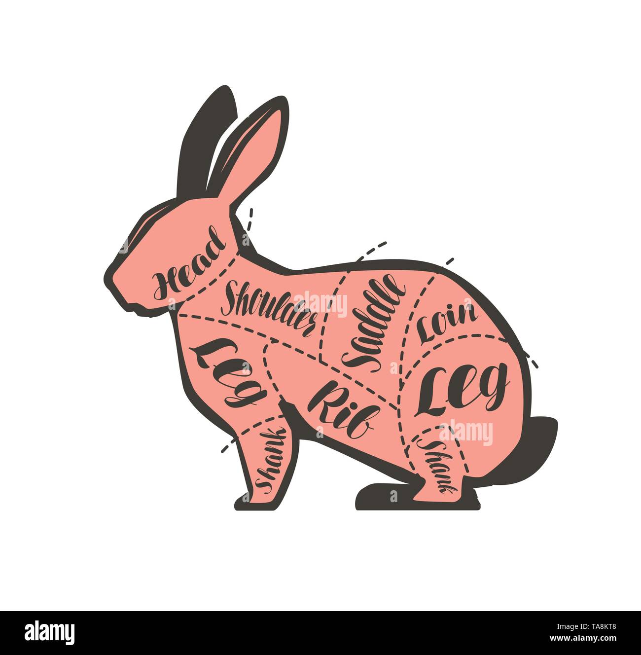 Rabbit diagram for the butcher. Butcher shop, meat vector illustration Stock Vector