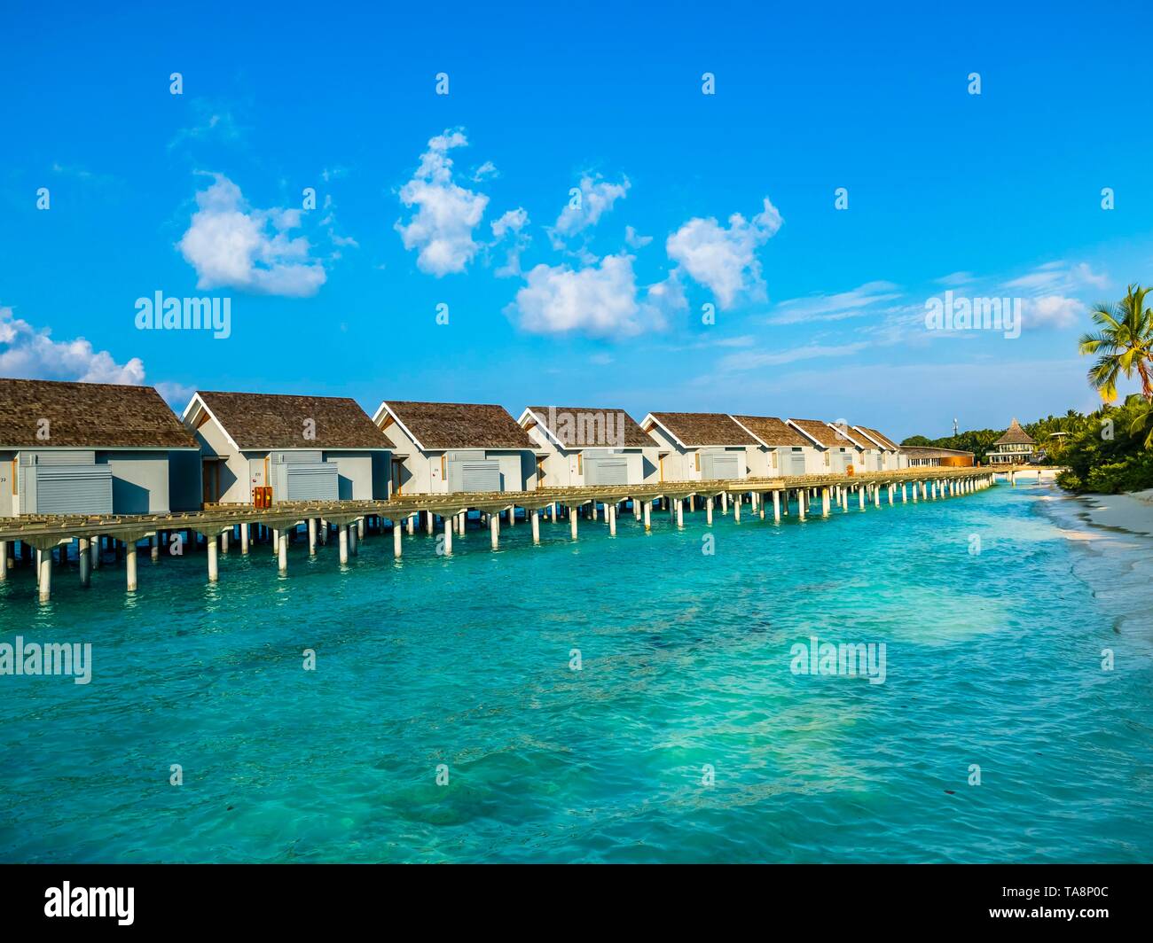 Hotel complex with stilt houses in turquoise water, resort, hotel island Kuramathi, Rsadoo atoll, Maldives Stock Photo