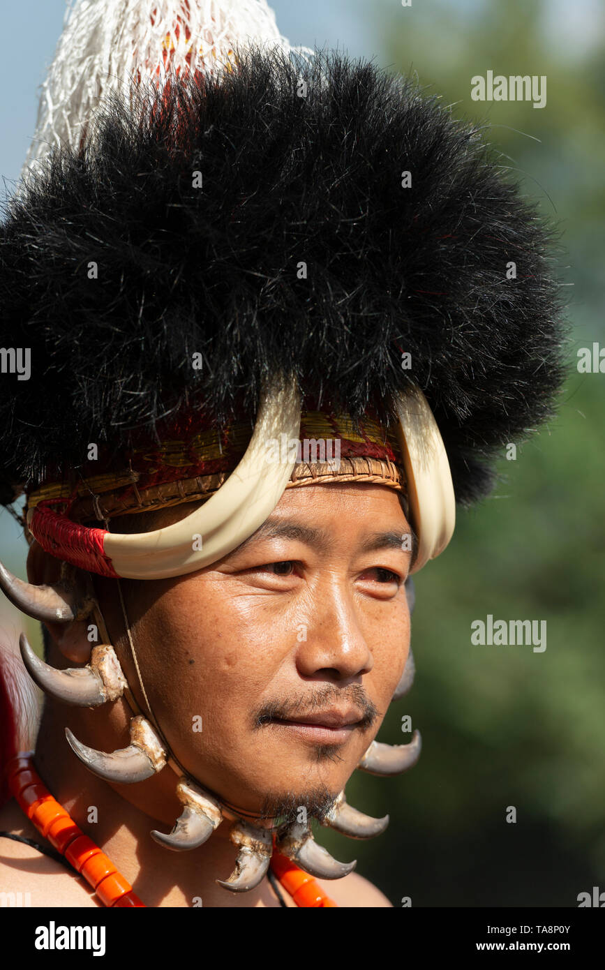 Naga Tribal Warrior Portrait at Hornbill festival,Kohima,Nagaland,India ...