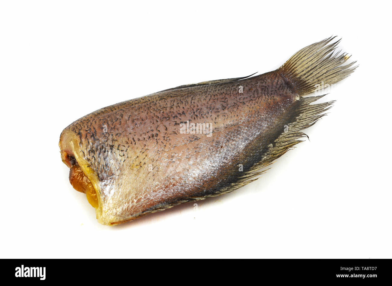 Sun dried fish / trichogaster pectoralis fish dry with spawn isolated on white background Stock Photo
