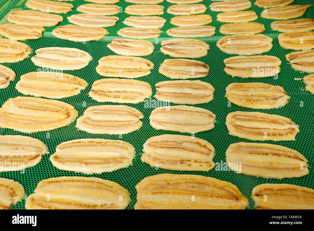 Dried Fruit Organic Making Dry Banana Fruit On Net In Room