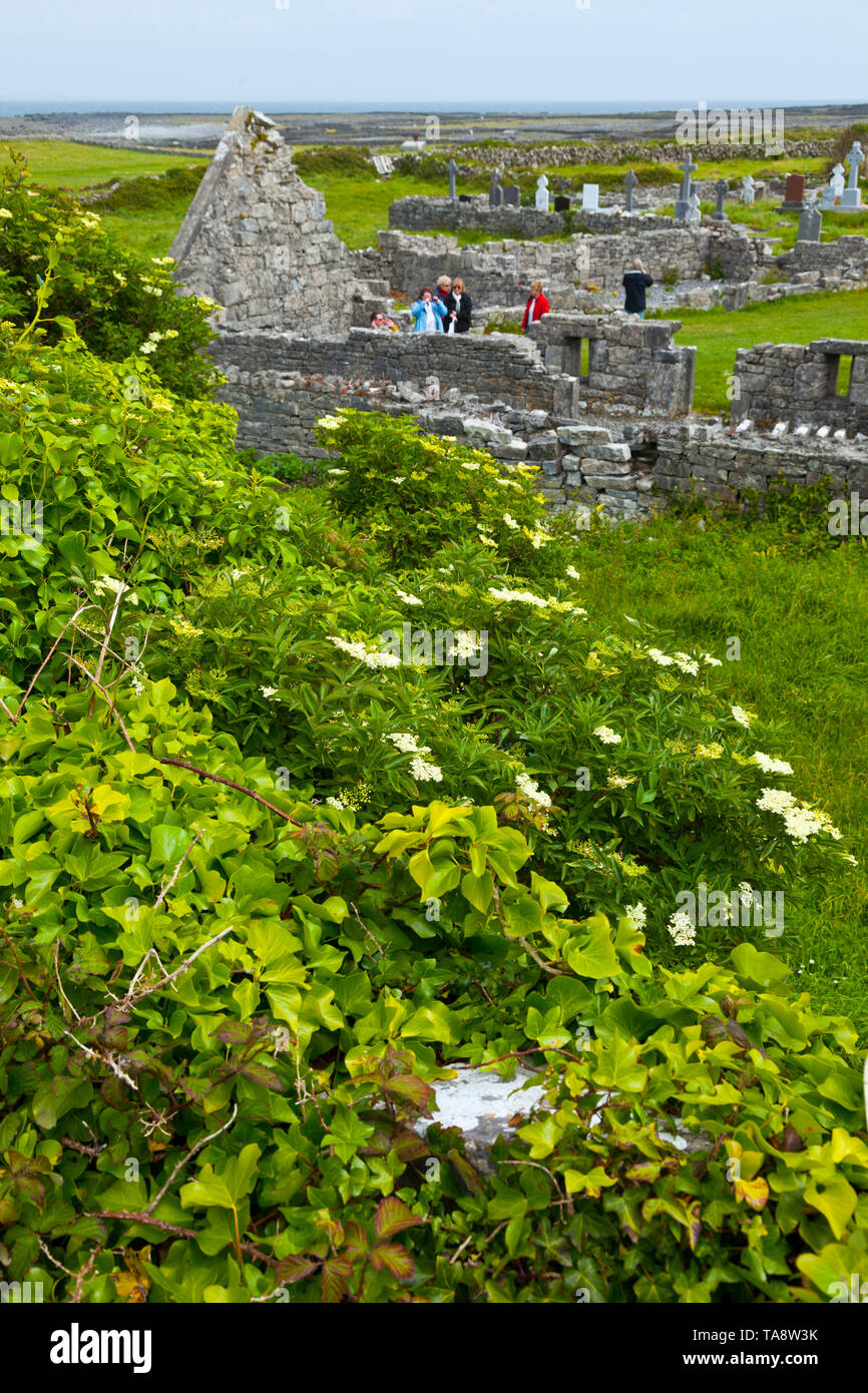 Seven Churches. Inishmore Island, Aran Islands, Galway County, West