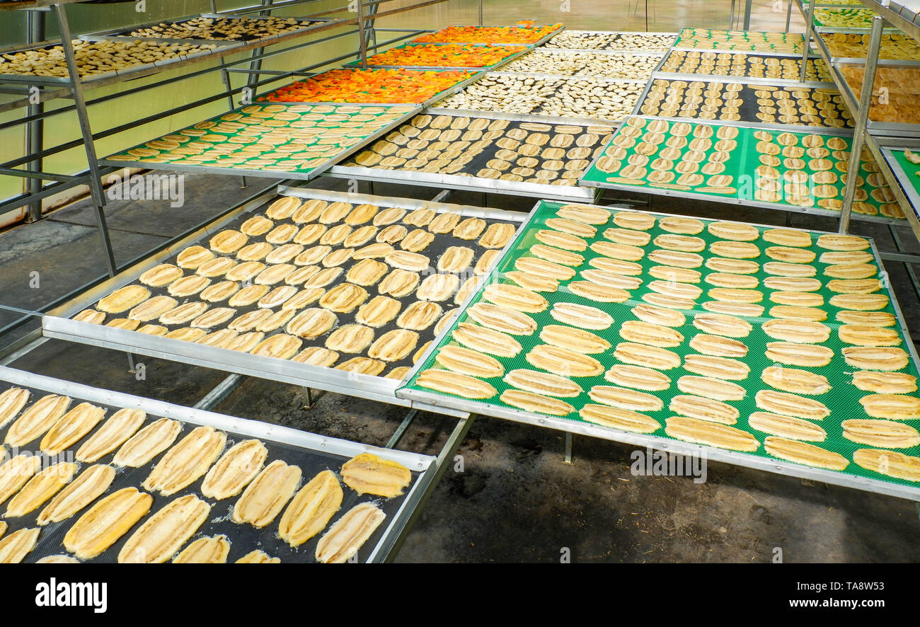 Dried fruit / Making dry fruit on net with banana pineapple papaya