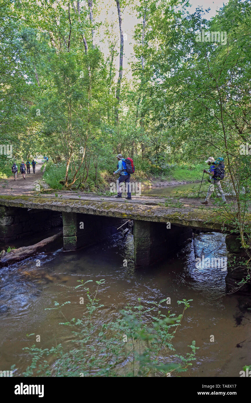 Spain, pilgrim's Walk to Santiago de Compostela in Galicia, a pathway