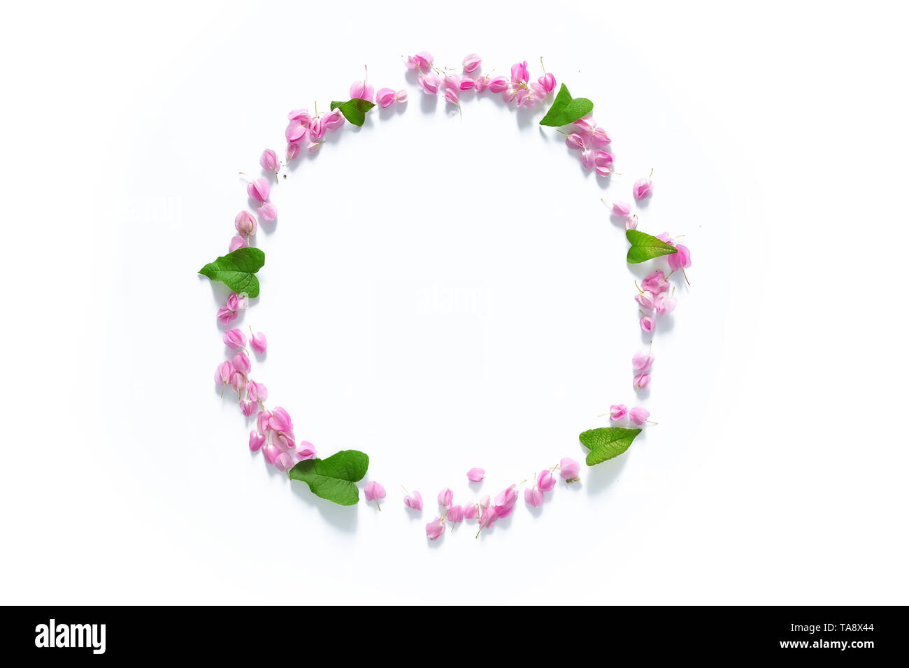 flat lay of Flower crown ,floral wreath circle made from pink flowers isolated on white background, top view. flower creative composition with copy sp Stock Photo