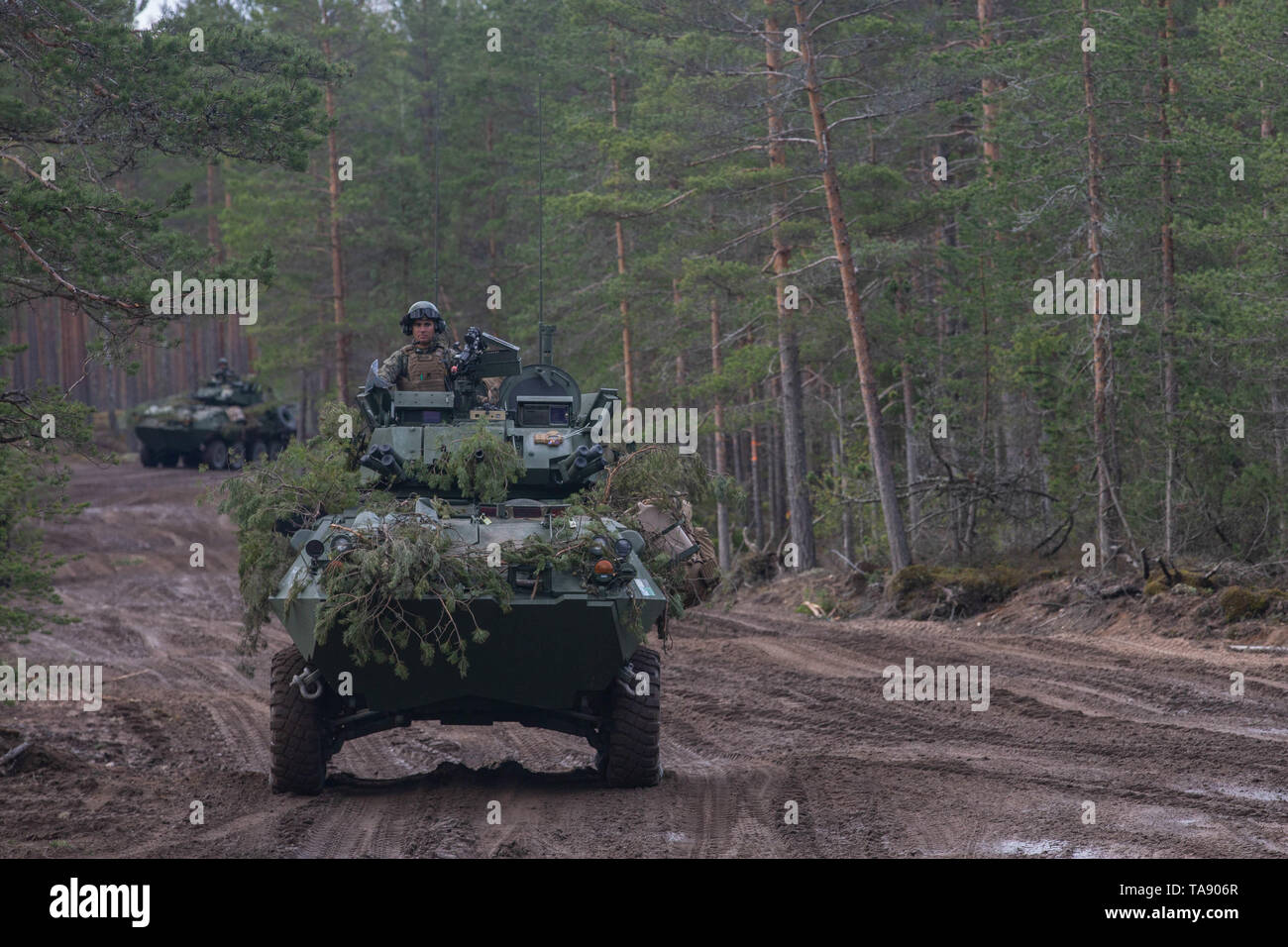 A U.S. Marine Corps Light Armored Vehicle-25 with 2nd Light Armored Reconnaissance Battalion, 2nd Marine Division, II Marine Expeditionary Force drives in formation during exercise Arrow 2019 at Pohjankangas Training Area near Niinisalo, Finland, May 8, 2019. Exercise Arrow 2019 is an annual multinational exercise with the purpose of training mechanized infantry, artillery, and mortar field skills in a live-fire exercise along with the partners from the Finnish Defense Forces. (U.S. Marine Corps photo by Lance Cpl. Scott Jenkins) Stock Photo