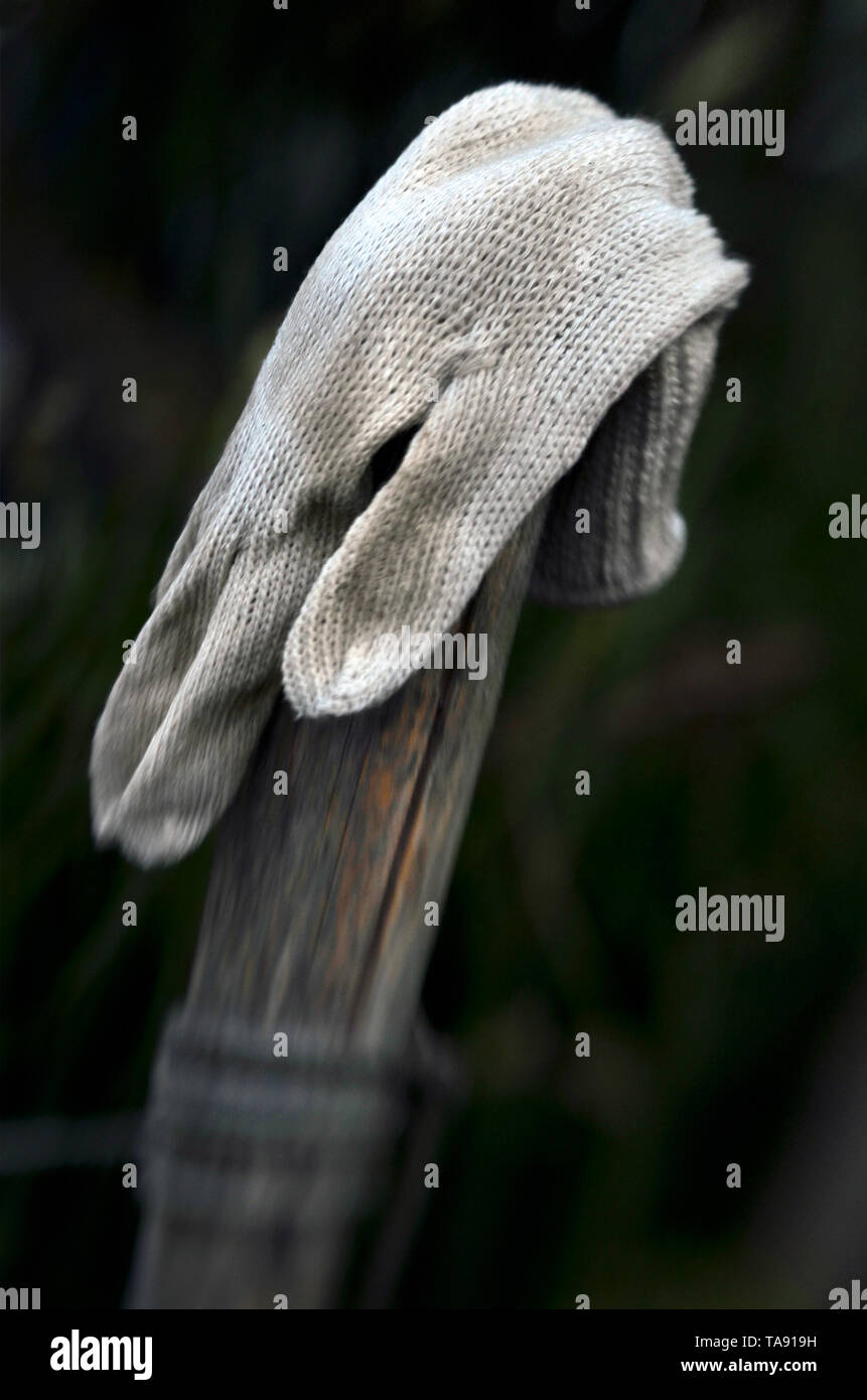 lost woolen glove on wooden post Stock Photo